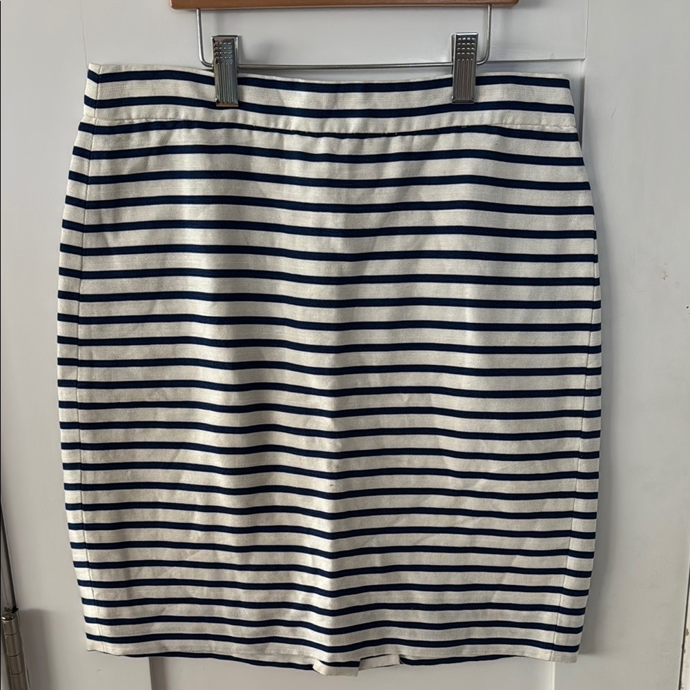 Striped Navy and White Women's Skirt